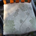 before - upholstry cleaing