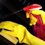 New - Professional Oven Cleaning